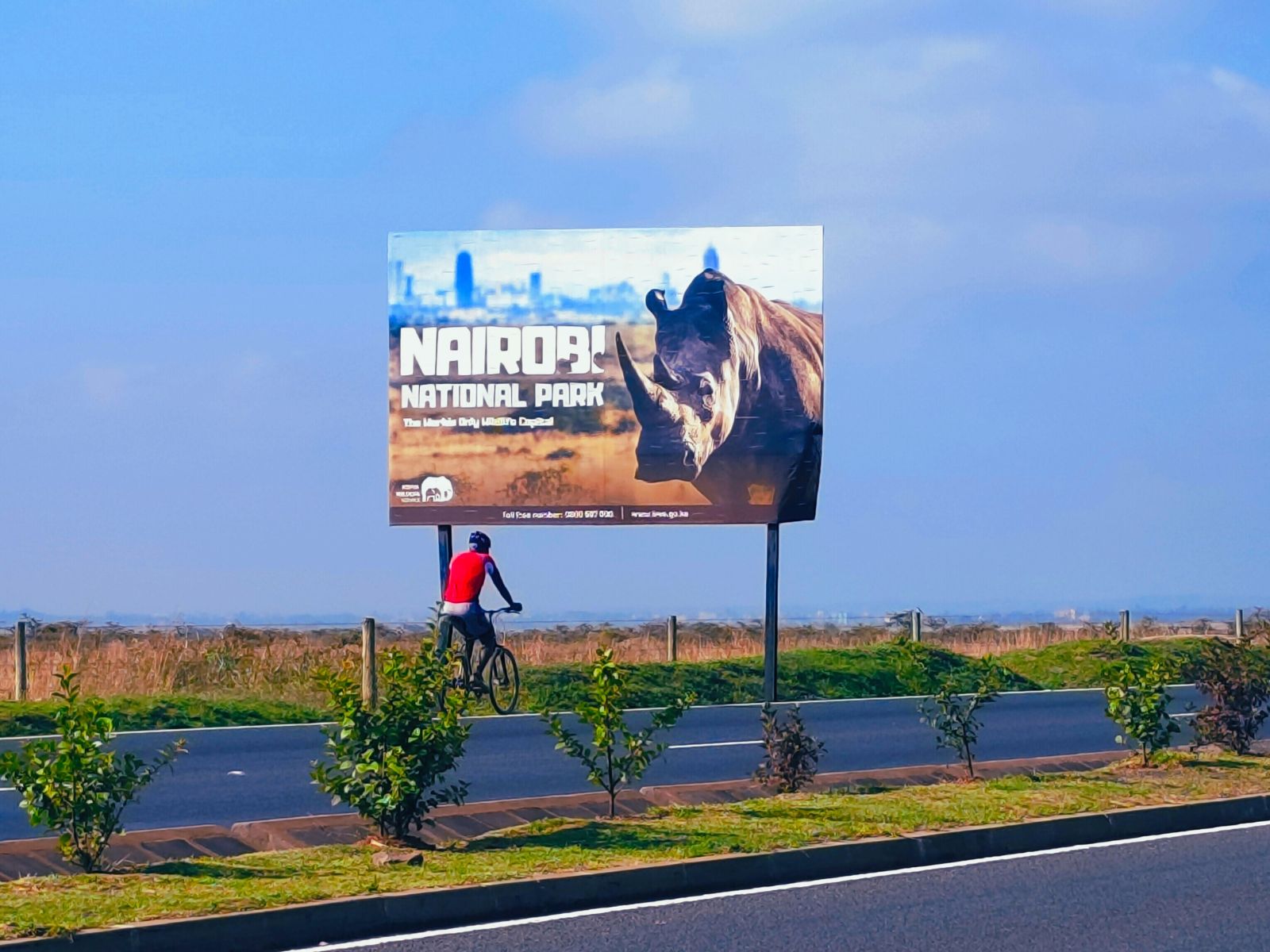 Signage & Billboard Lifting Services Available in NSW